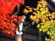 ����������������