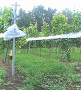 �֥ɥ��ε���