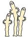 ���쿮�⥤�󥿡���2010