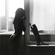 Υ�����ͳ�ʤ󤫡�����ʤ�