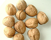 WALNUT