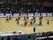 ＰＯＮＹＳ ＧＲＥＥＮ