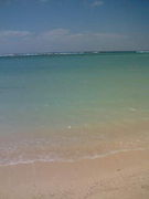 �Τۤۤ���Ʊ����