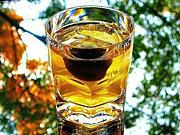 Travel Drinker（仮）