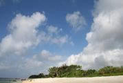 米原組！（とはいっても八重山）