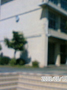 �;���Ω������ع�