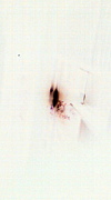 ʸ