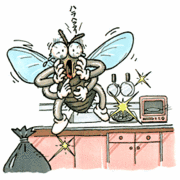 ����ǤĤ��ळ�Ȥ��Ǥ��롪��