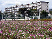 ��ë�����桡Φ����OB��OG��