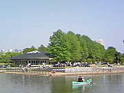 柏の葉公園deライブしよう♪