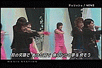 MS-Cherish*4