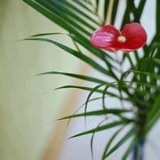 ����ͽ����