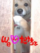 Ｗｅ ♡　たけちょ