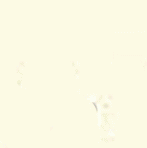 ����������.8