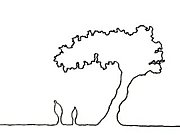 地球環境学舎7期生