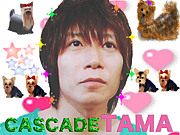 ƷTAMA(CASCADE)