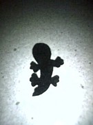 �ƥ��ƾ��ʳ�ȯ��������ݡ�