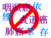 ����򿴤������