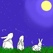 �����Υɥ饤�֡�ŷ�δ�¬������