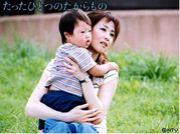 �Ҥɤ�Τۤäڤ�������