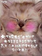�������ꥢ�����͡�07