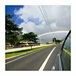 Hawaii drive ϥ磻ɥ饤