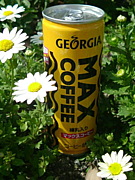 GEORGIA MAX COFFEE