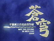 2009ǯ���㾾´����(^O^)