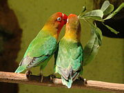 ���Фä���������д�¥�ʲ��