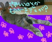 �⤦���ߤ���ܤ¤�ʤ���
