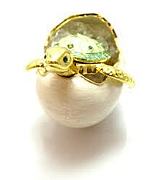 KMT〜地元かめたろう組★