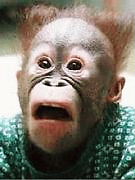 アレグリアＦＣ