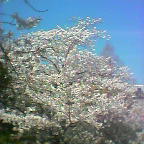 ポジティブシンキング！