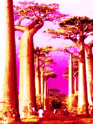 ҵȥХХ֤β