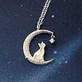 Cats on the moon