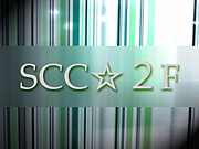 SCC