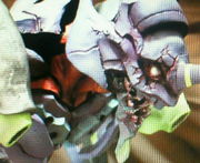 チーム骨と皮。