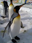 �ͼ�¡��Ϸ�����