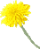 ����Ǹ�ع����̿�����