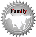 Family���ʤ�Ĥä�!!!