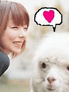 Team.aiko�˥�����