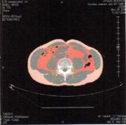 ４０代からの生活改善委員会