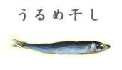 うるめいわしが止まらない