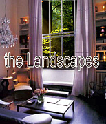 the Landscapes  -BAND-