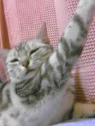 我が（ネ）子が一番　笑