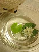 ��ɲ�͡����ӎݡ�PART?