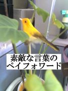 ŨʸդΥڥե