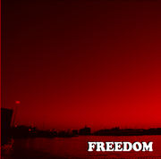 FREEDOM FREAK