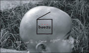 boozu�Τ椫�������ã