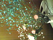 ���ɻΤ�����ԣԣ�